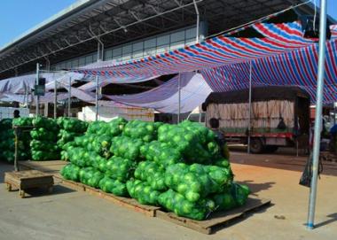 河南农村发放蔬菜政策的相关图片