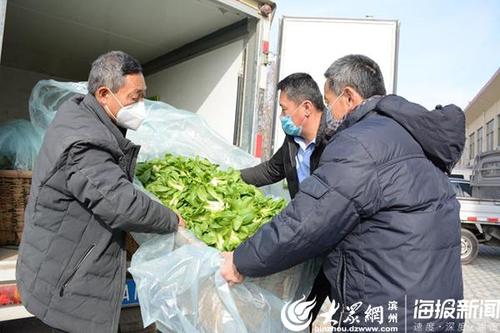河南农村干部送蔬菜视频的相关图片
