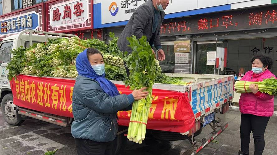 济宁农村捐赠蔬菜给政府的相关图片