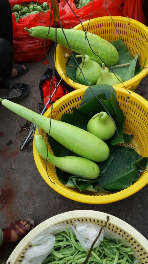 海南农村水果蔬菜图片的相关图片