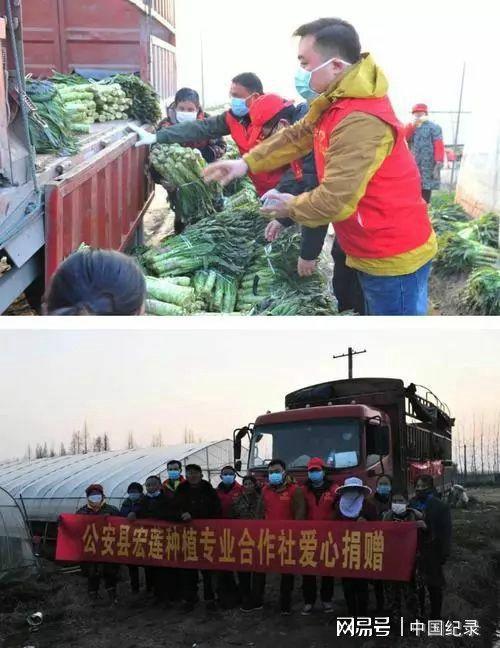 湖北农村捐赠蔬菜补助的相关图片