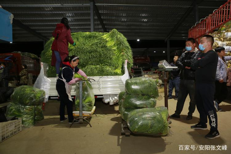 湖北鄂州农村购买蔬菜的相关图片
