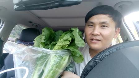 湖南农村小伙网购蔬菜视频的相关图片
