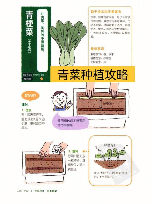 滨州农村蔬菜种植方法的相关图片