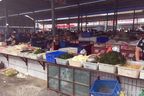 潼南农村人蔬菜批发市场的相关图片