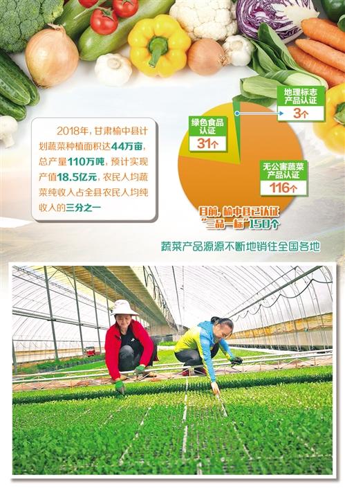甘肃省农村无公害蔬菜补贴的相关图片