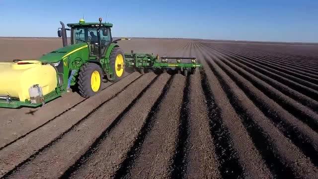 美国农村种植蔬菜视频播放的相关图片