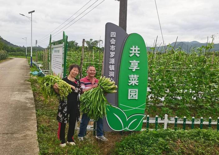 肇庆农村种植蔬菜的相关图片