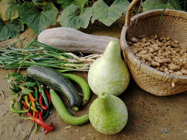 蚌埠农村蔬菜的相关图片