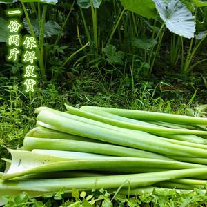 贵州农村吃什么蔬菜最多的相关图片