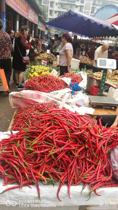 重庆农村丰收蔬菜市场的相关图片