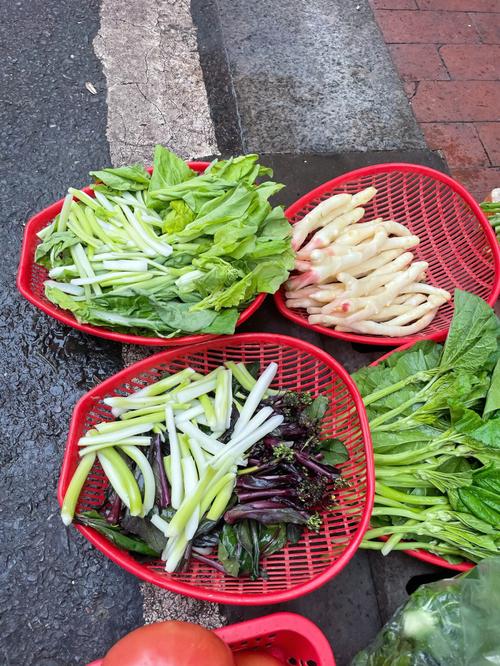 重庆农村吃蔬菜视频播放的相关图片