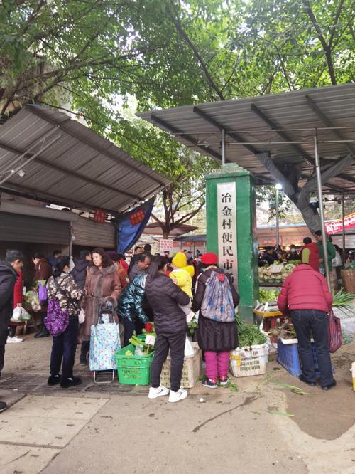 重庆农村采购蔬菜补贴的相关图片