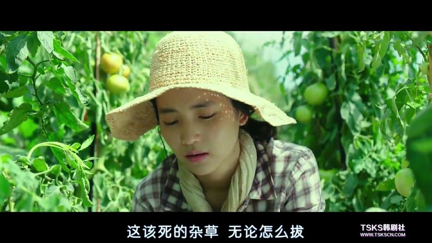 韩国农村姑娘吃蔬菜的电影的相关图片