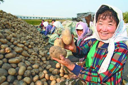 黑龙江农村保存蔬菜的地方的相关图片
